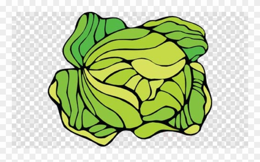 Love Cabbage Clipart Cauliflower Cabbage Clip Art - Love Cabbage - Png Download
