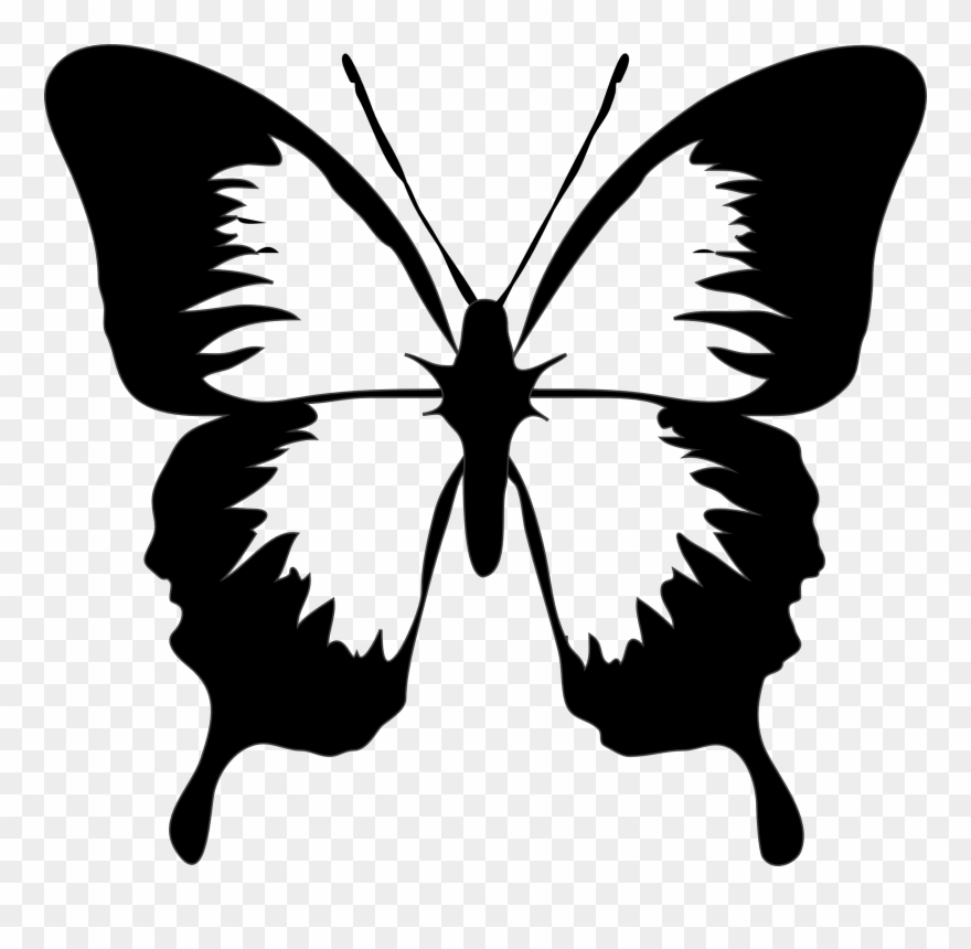 Black And White Butterfly Butterfly Clip Art Png Download