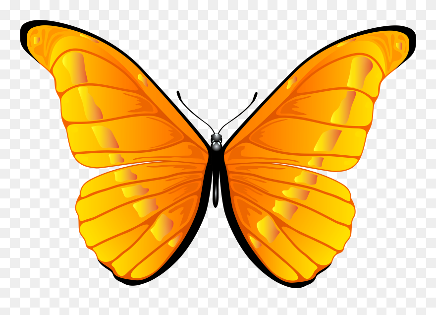 Orange Butterfly Png Clip Art Clipart 7000 4739 Bbq - Butterfly Clipart Png Transparent Png