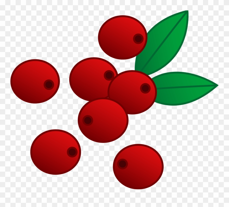 Cranberry Panda Free Images Cranberryclipart - Blueberries Clipart - Png Download