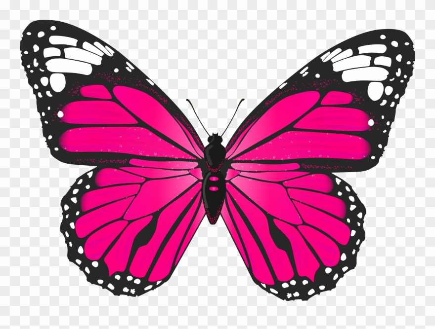 Butterfly Clip Art - Pink Butterfly Clipart Png Transparent Png
