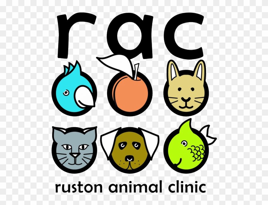 Exotic Animal Cliparts - Jpeg - Png Download