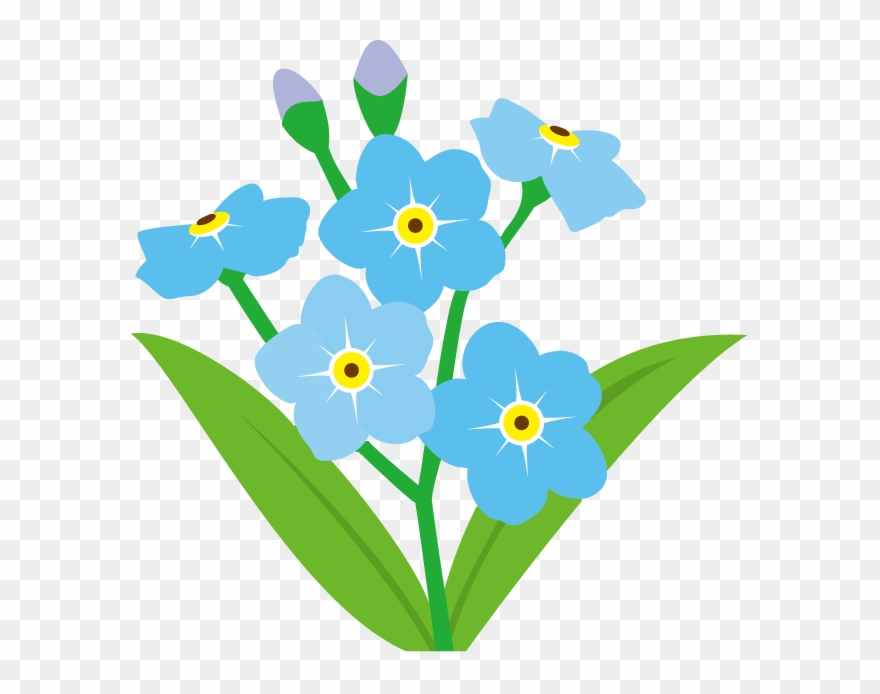 Forget Me Not Flower Clip Art - Forget Me Not Flower Clipart - Png Download