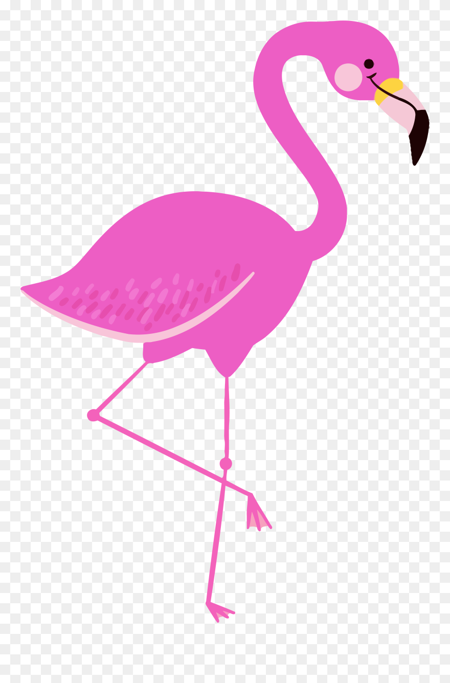 •flamingos - - Clip Art Flamingo Png Transparent Png