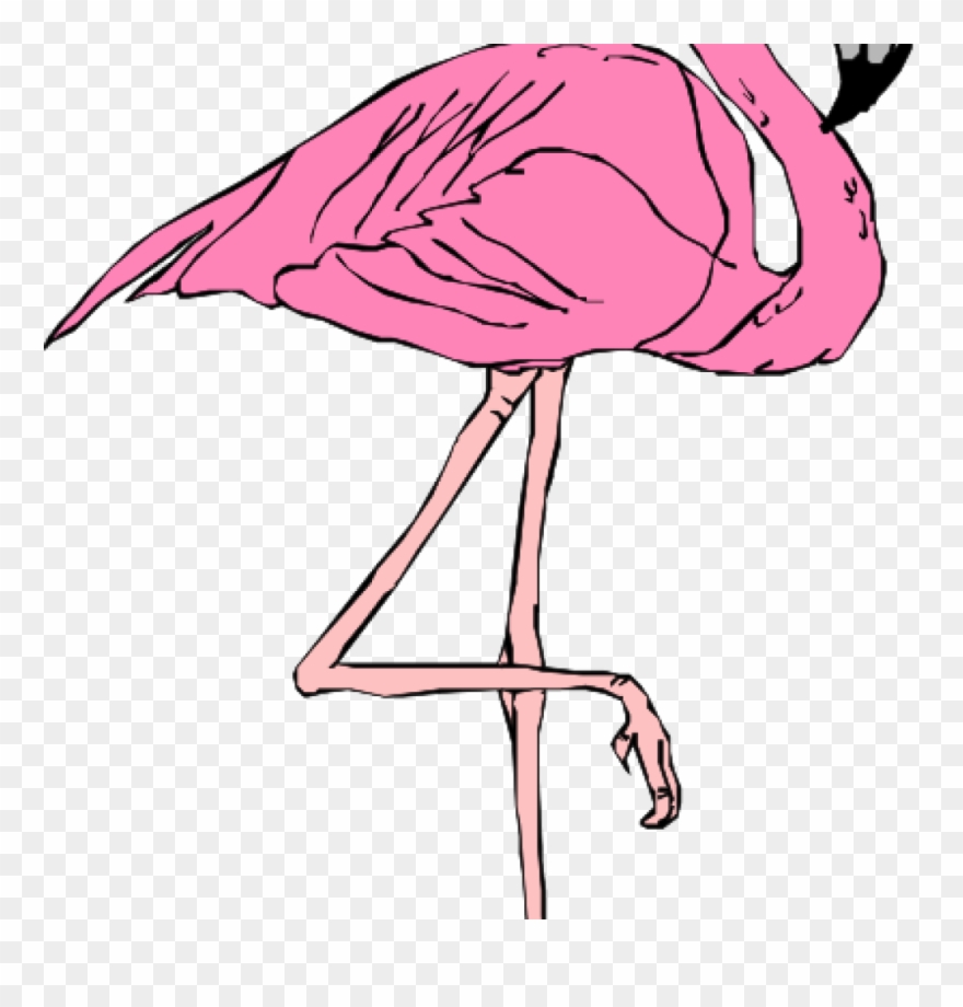 Pink Flamingo Clip Art Pink Flamingo Clip Art At Clker - Pink Flamingo - Png Download