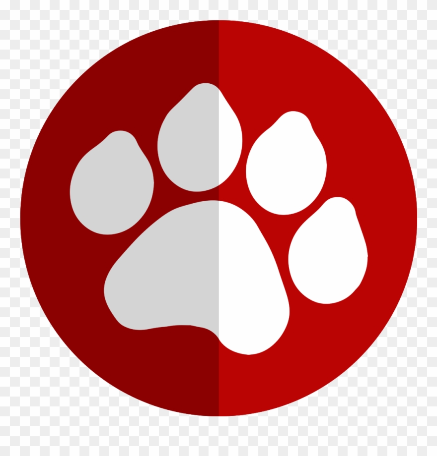 Boundary Animal Hospital Burnaby Bc X Ray - Moony Wormtail Padfoot And Prongs Tattoo Clipart