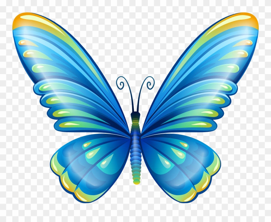 Butterfly Clipart Png - Butterfly Png Clipart Transparent Png