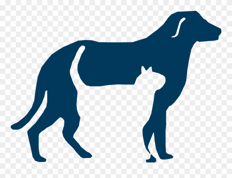 Veterinary - Humane Society Of San Bernardino Clipart