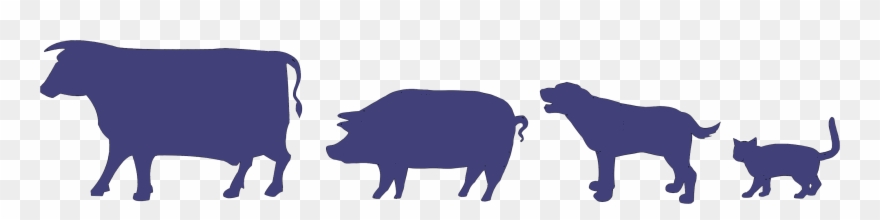 Walcott Veterinary Clinic The - Love Me Love My Cat Keychain, Adult Unisex, Purple/lavender Clipart