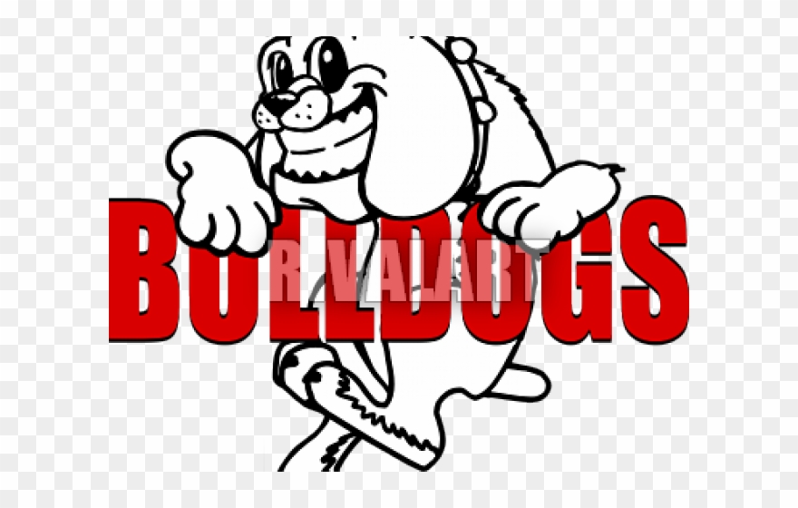 English Bulldog Clipart Clip Art - Bulldog - Png Download