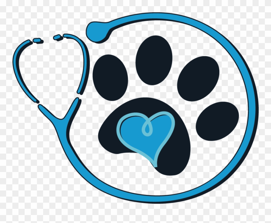 Transparent Stock Imc Pet Insurance For - Vet Pets Clip Art - Png Download