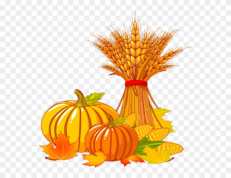 Fall Pumpkin Clipart Free - Thanksgiving Clipart Transparent Background - Png Download