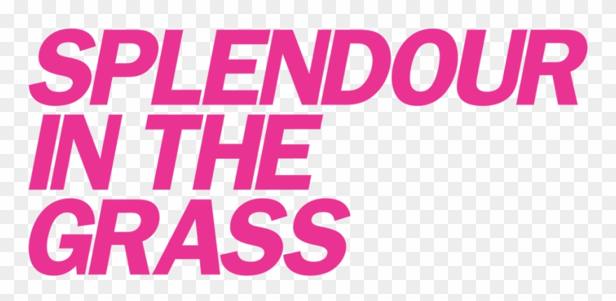 Splendour In The Grass Logo Clipart