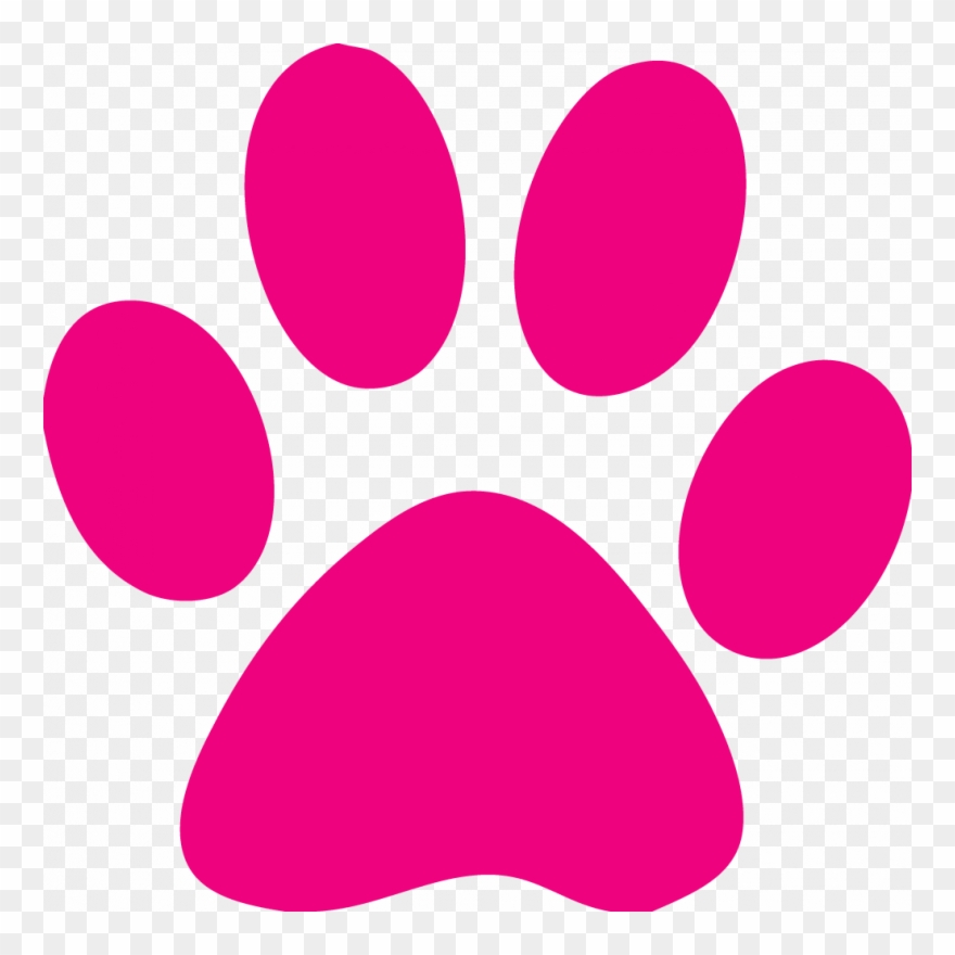 Clip Arts Related To - Pink Paw Print Clip Art - Png Download