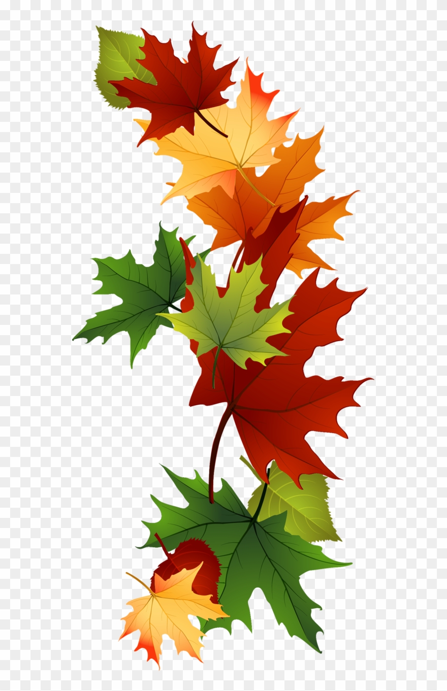 Leaf Fall Leaves Clip Art Beautiful Autumn Clipart - Laub Clipart - Png Download