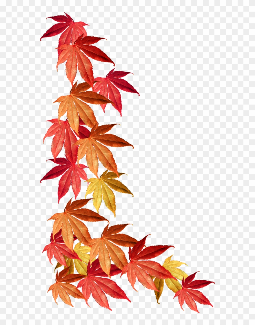 Fall Border Png - Autumn Leaves Border Clipart