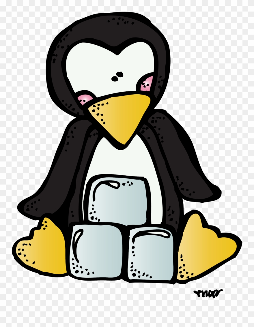 1st Grade Hip Hip Hooray - Penguin Clipart Melonheadz - Png Download