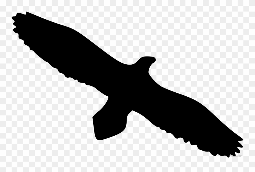 Free Clipart Of Eagles Eagle Silhouette Clip Art Free - Wedge Tailed Eagle Silhouette - Png Download