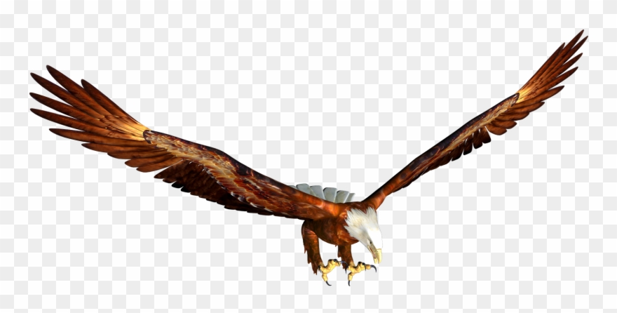 Free High Resolution Graphics And Clip Art - Eagle Flying Png Cartoon Transparent Png