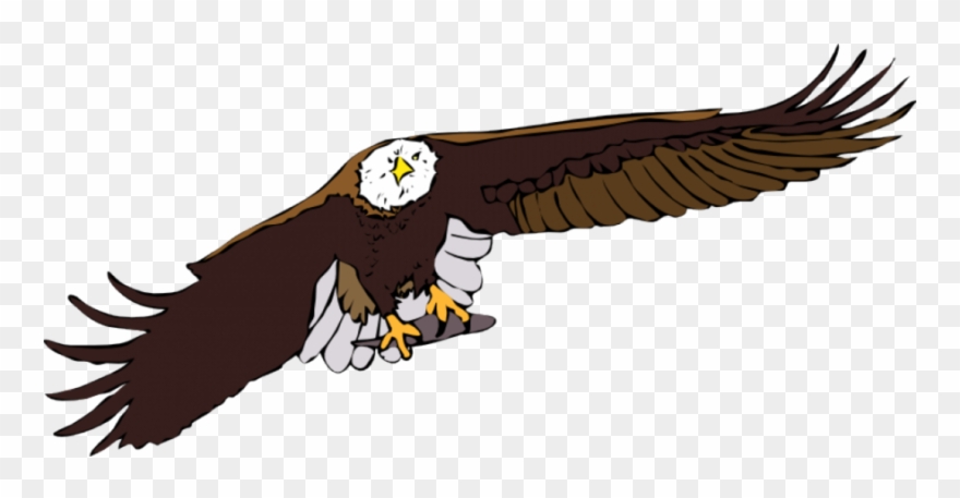 Download Flying Eagle Clipart Bald Eagle White-tailed - Flying Eagle Vector - Png Download