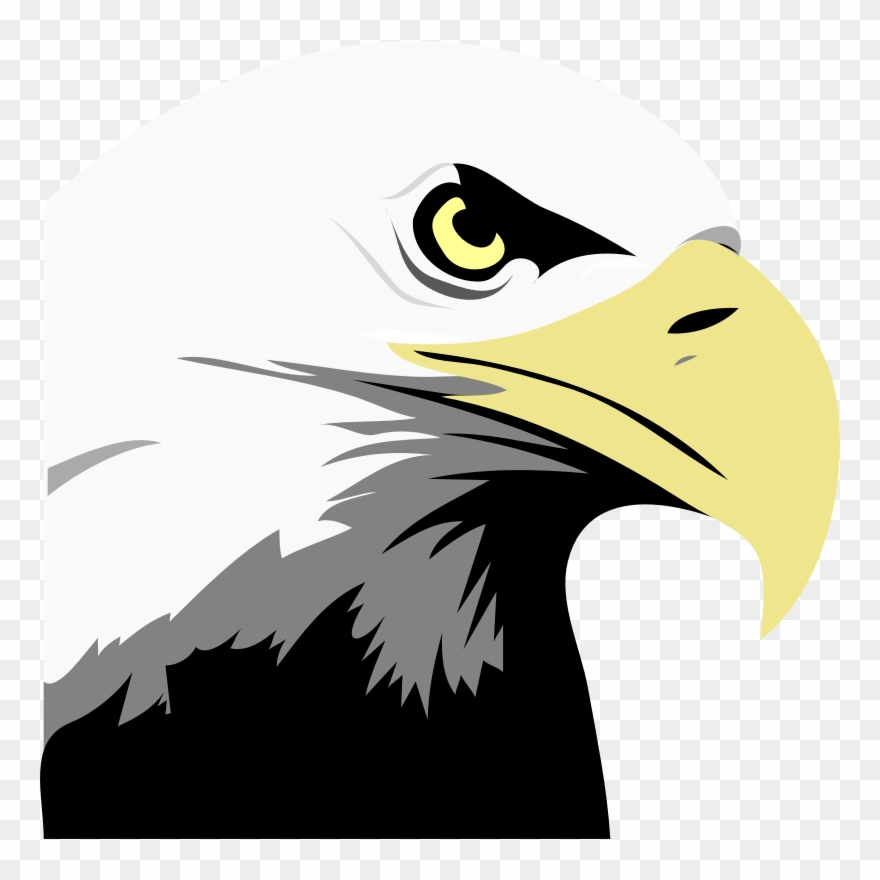 Bald Eagle - Eagle Eye Clipart