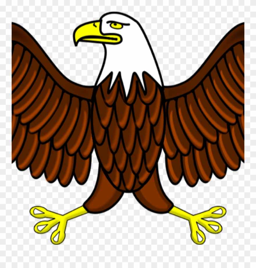 Eagle Images Clip Art Eagle Clipart Free Graphics Of - Aguila Dibujo A Color - Png Download