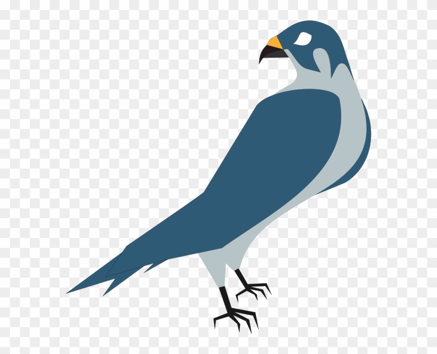 Hawk Clip Art Download - Hawk Free Clipart - Png Download