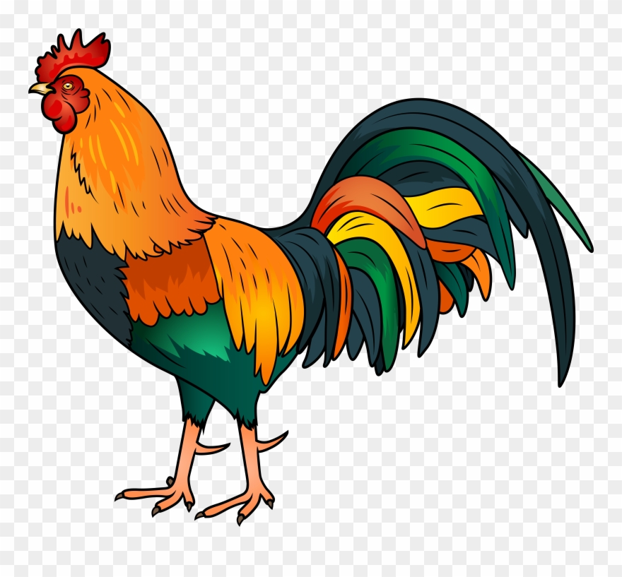 Rooster Clip Art Image - Png Download
