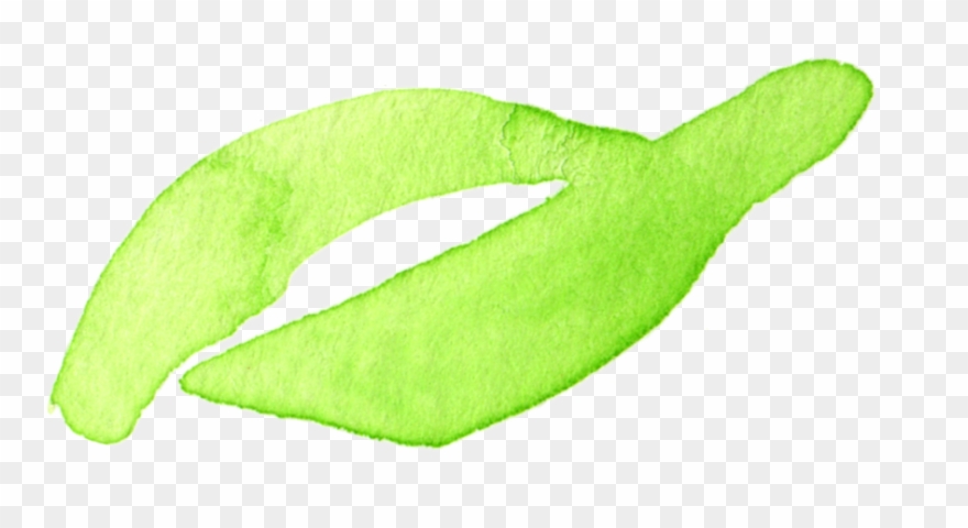 [showmyads] - Marine Mammal Clipart