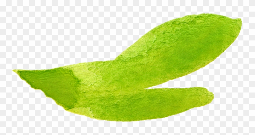 [showmyads] - Watercolor Png Bubble Speech Clipart