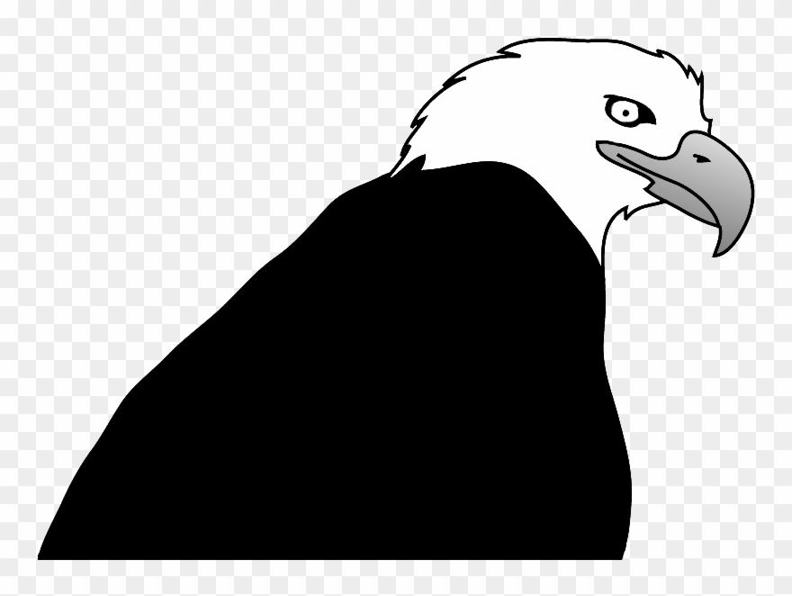 Clip Art Royalty Free Stock Bald Eagle Clipart Black - Clip Art - Png Download