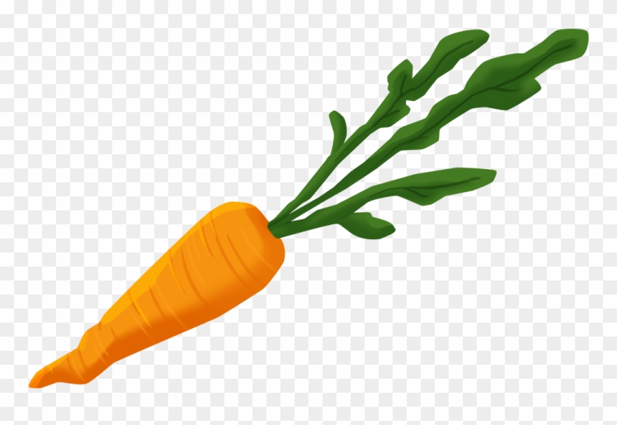 Baby Carrot Clipart