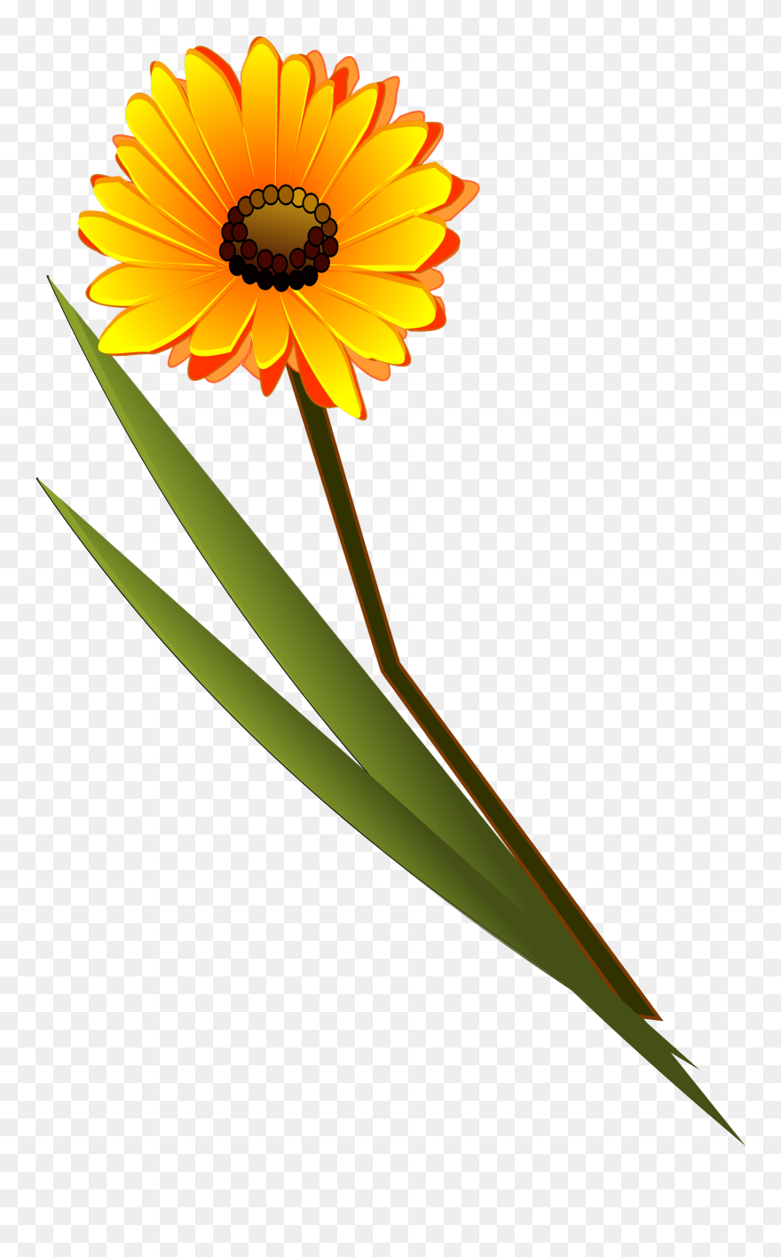 Get Notified Of Exclusive Freebies - Flower Clip Art - Png Download