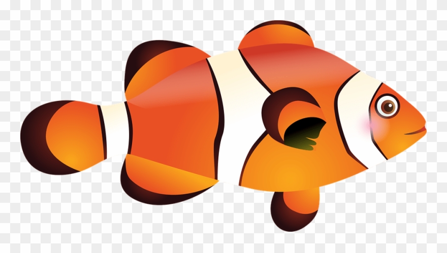 ปลา นี โม่ Png Clipart