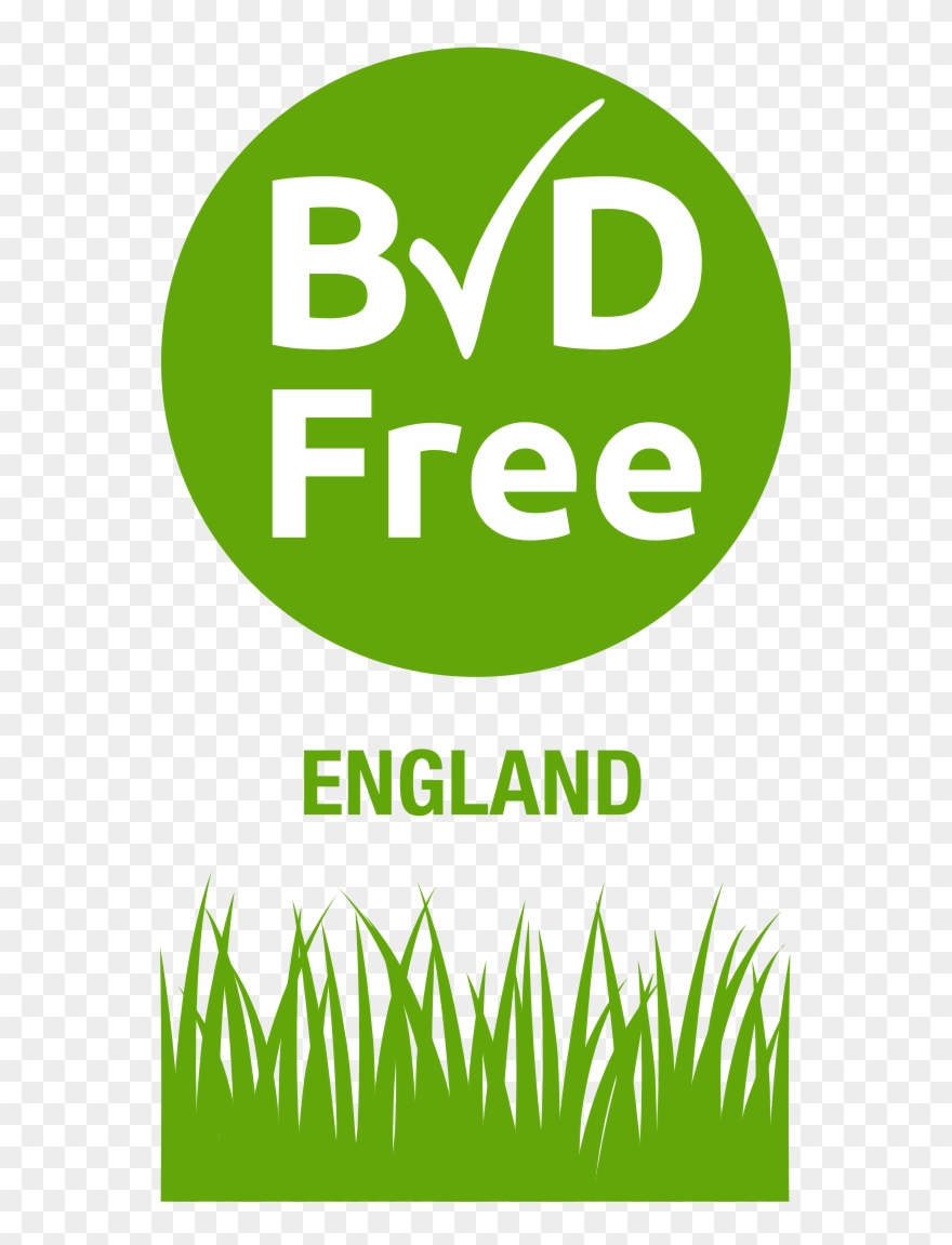 Welcome To The Bvdfree Support Desk - Bvd Free Clipart