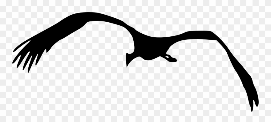 Open - Drawing Bird Png Clipart