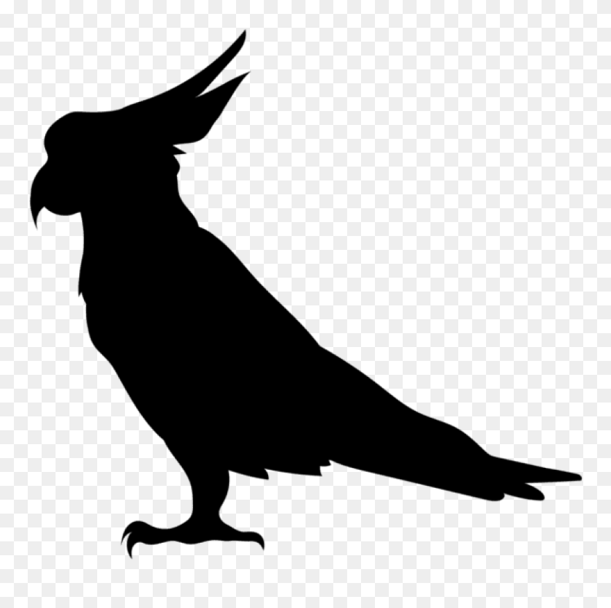 Parrot Silhouette Png Transparent Clip Art Image - Illustration