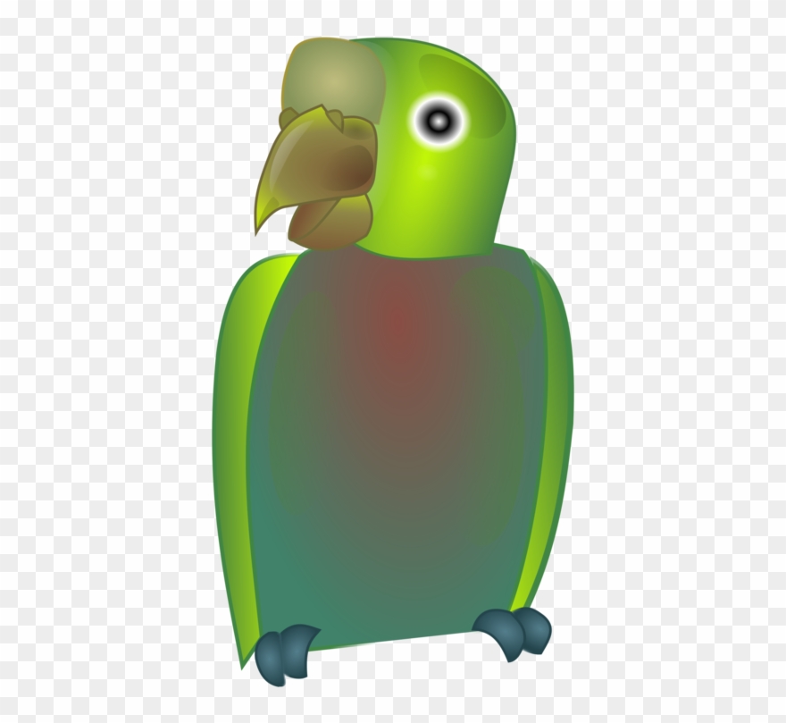 Parrots Bird Common Ostrich - Parrot Clipart