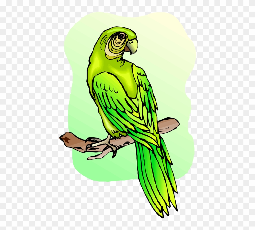 Green Parrot Cliparts - Budgerigar - Png Download
