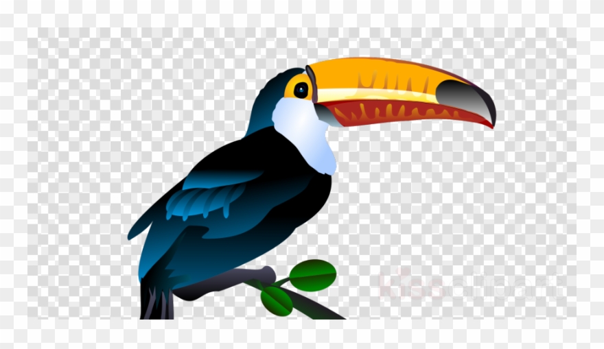 Download Transparent Toucan Png Clipart Bird Toucan - Transparent Background Lp Record Clip Art