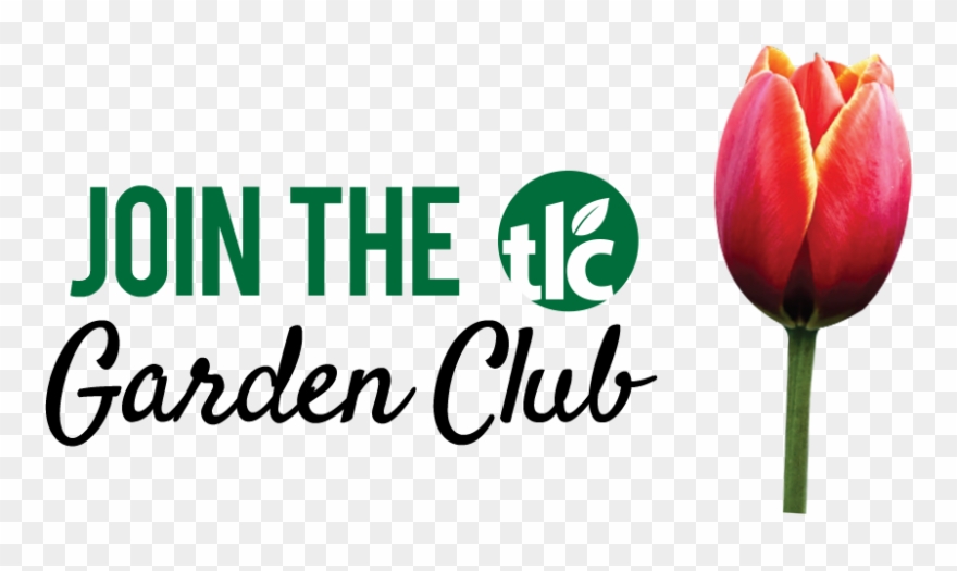 Garden Club - Add Print To Back Of Any Shirt **please Contact Me Clipart