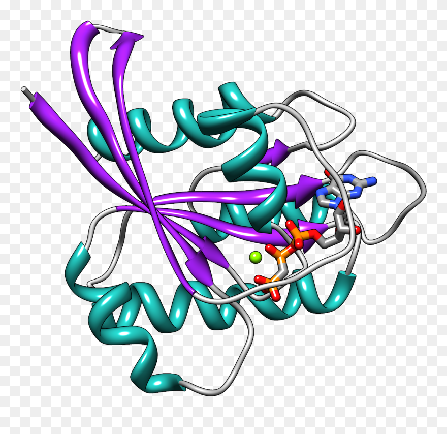 Mutant K-ras Has Long Been Suspected Of Being The Driving - Ras Subfamily Clipart