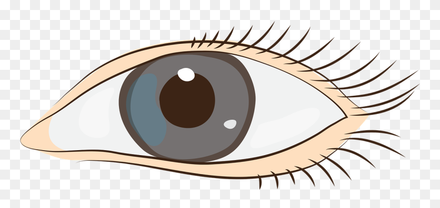 Missing Description - Clipart Auge - Png Download