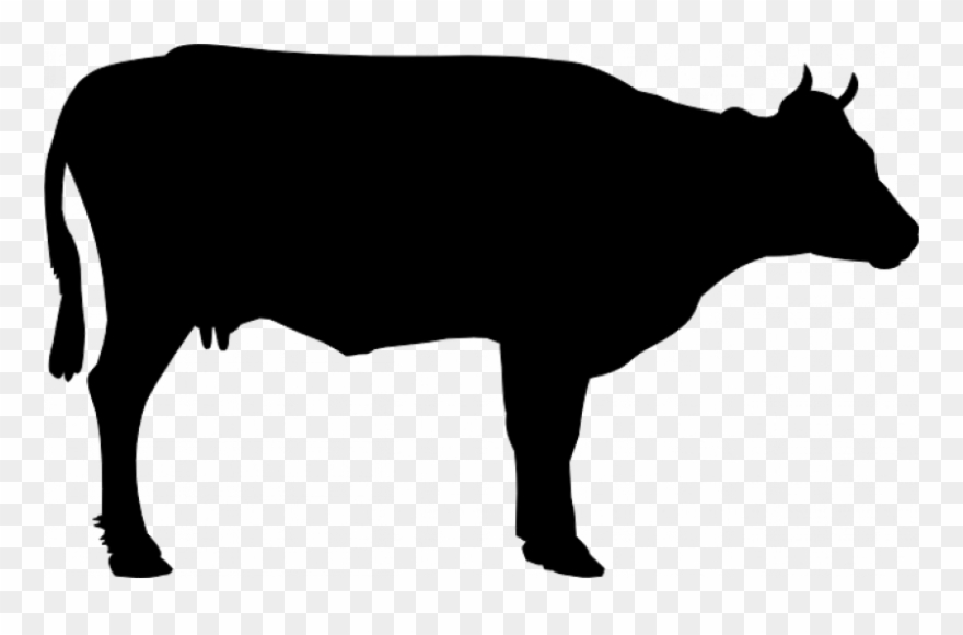 Royalty Free Simple Vector Graphics Of - Cow Vector Clipart