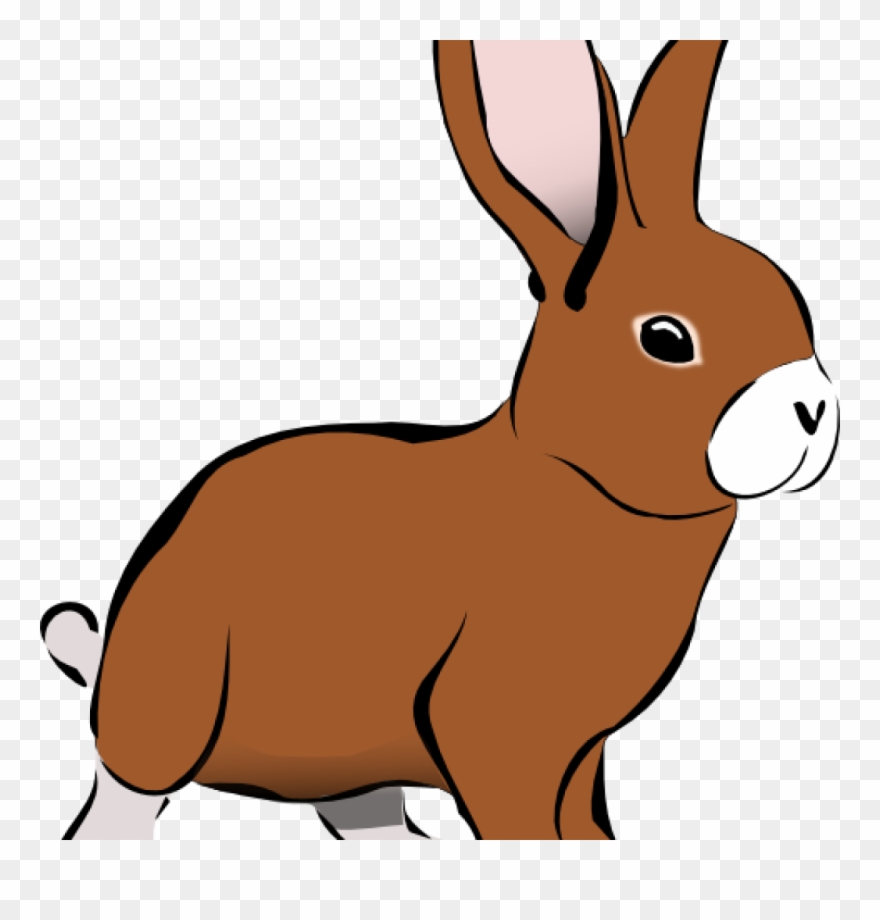 Cornhole Clipart Playing Clip Art 1024×1024 Butterfly - Png Download