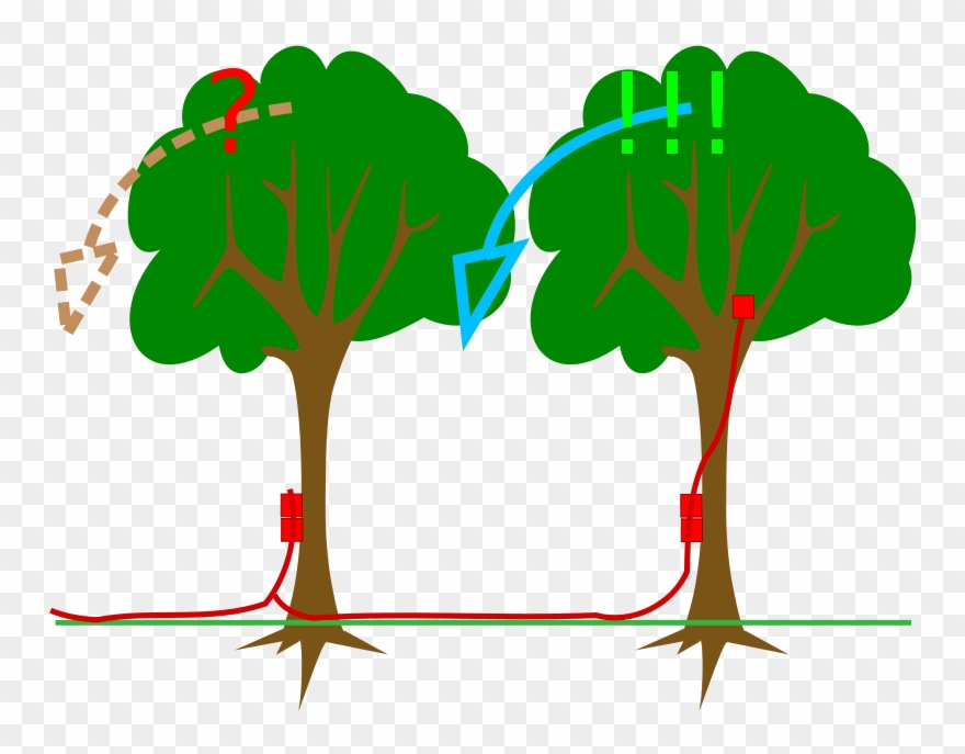 Free Kick Explosives Charge On Timber Free Legno - Explosive Clipart