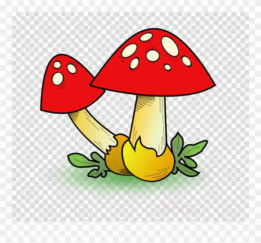 Download Mushroom Clip Art Clipart Edible Mushroom - Mushroom Clip Art - Png Download