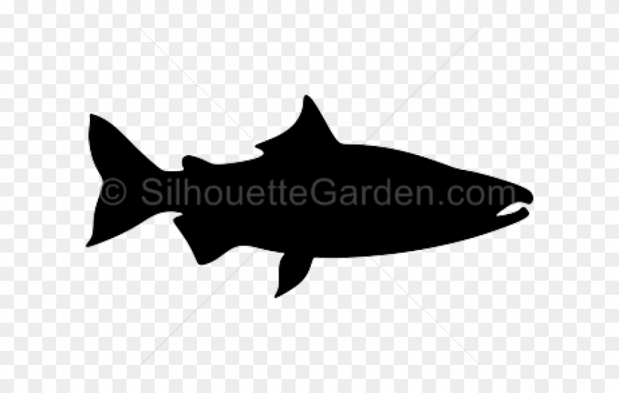 Salmon Clipart Knowledge - Walleye - Png Download