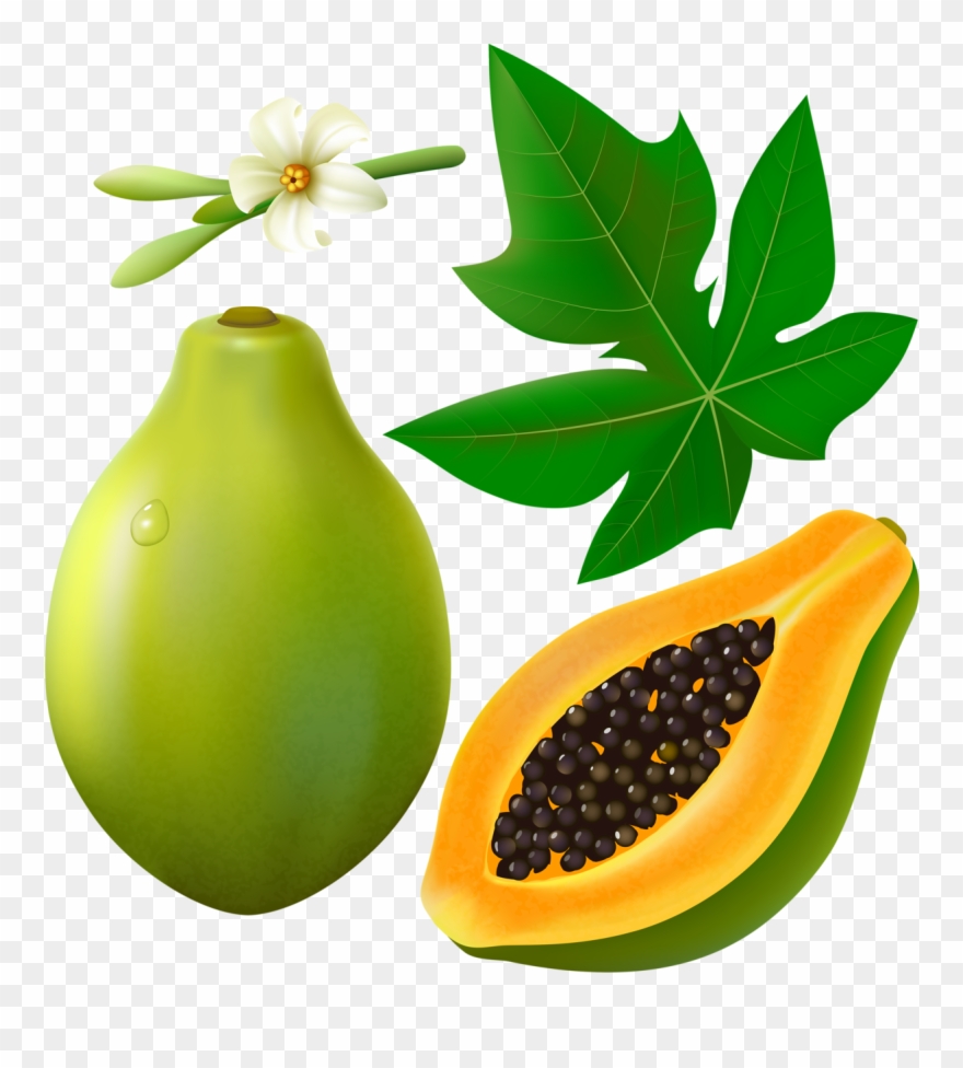 Фотки Green Papaya, Cartoon Stickers, Painted Wine Papaya Leaves Clip Art Png Download