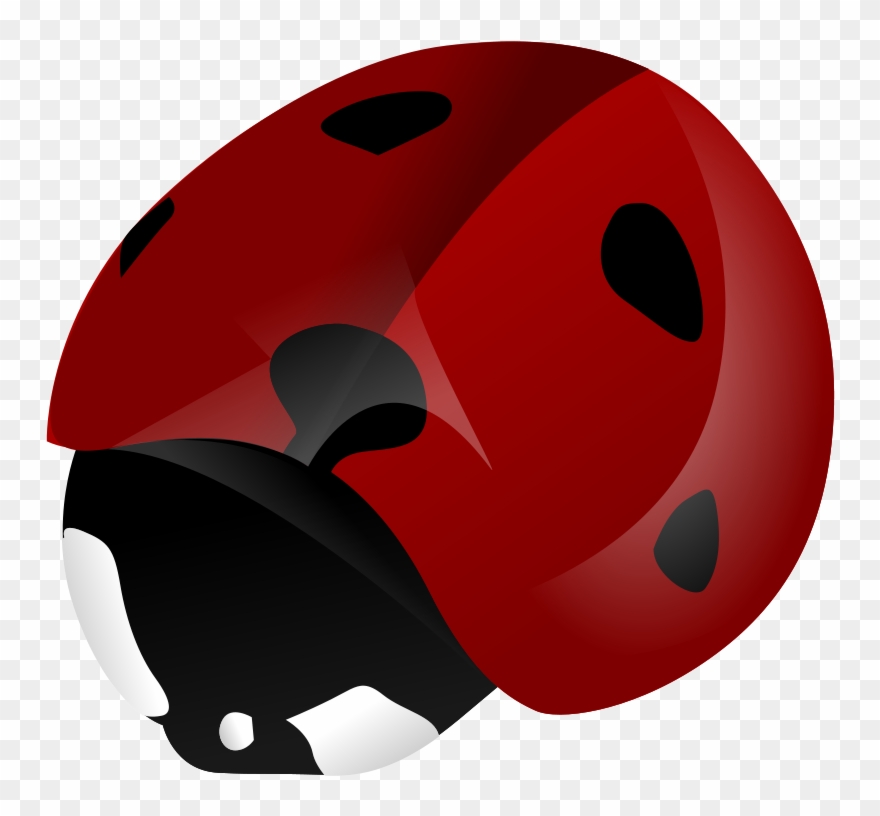 All Photo Png Clipart - Clip Art Transparent Png